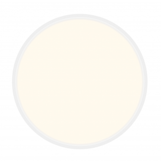 Lampa sufitowa LED Newell...